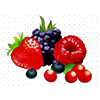 files/berries.png